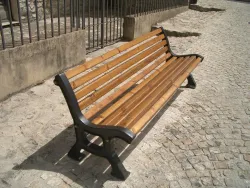 30112009190334 CIMG1663