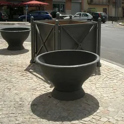 30112009190419 CIMG1665