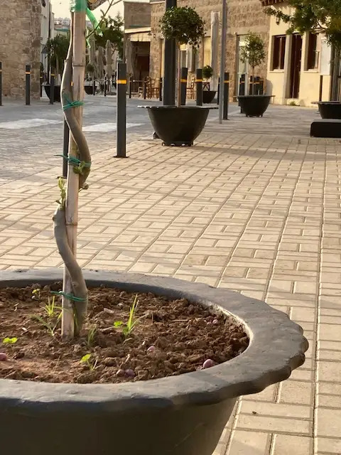 fioriera iris piazza jardinera iris