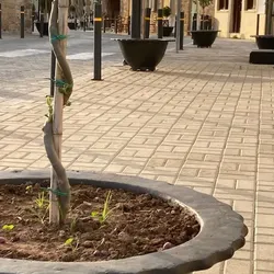 fioriera iris piazza jardinera iris