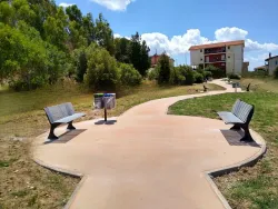 shark plae sardinia nature bench