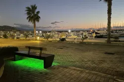 viva smart porto illuminata verde