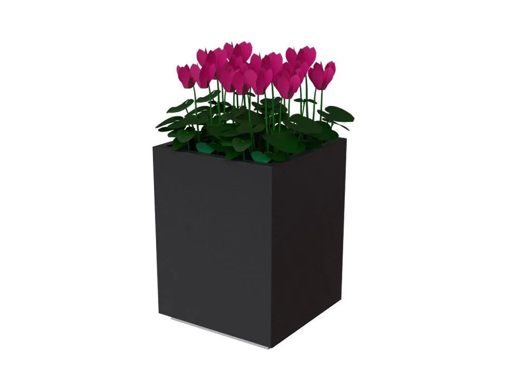 Camelia Square Planter