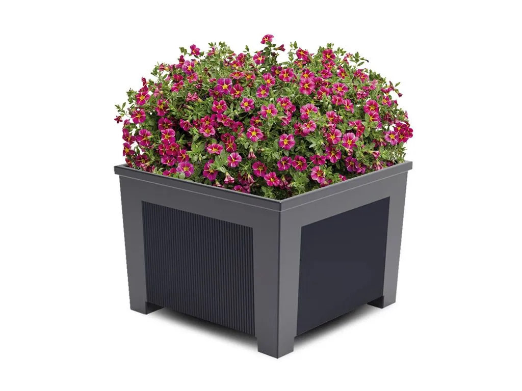 fioriera orchidea quadrata ghisa.webp?v=1777084689788