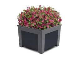 fioriera orchidea quadrata ghisa