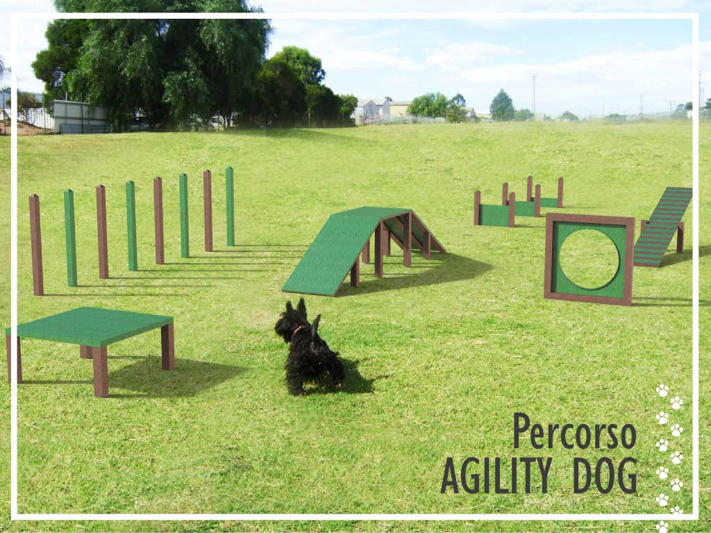 percorso cani agility dog strongplast.jpg?v=1773626485660