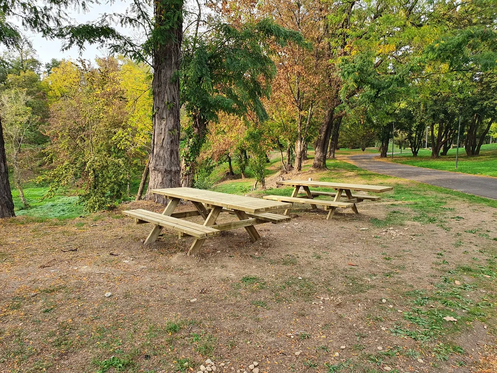 Mesa de Picnic Inclusiva