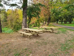 Mesa de Picnic Inclusiva