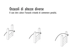 Obstacole cu Înălțimi Diferite Agility Canin din Strongplast