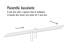Agility Dog Passerella basculante in Stronplast