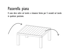 Passerella piana Agility Dog in Strongplast