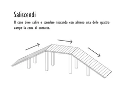 saliscendi percorso cani strongplast