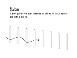 slaloom percorso cani strongplast